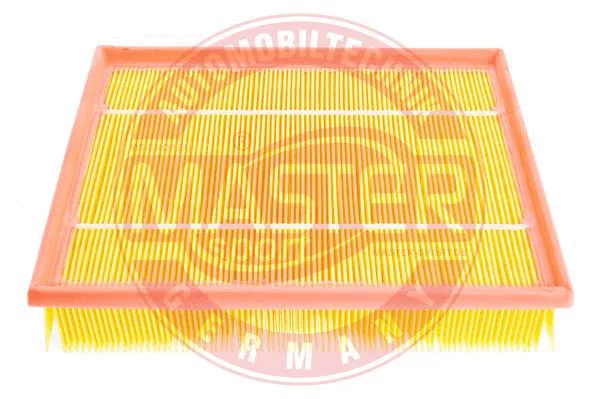 Air Filter (29198/1-LF-PCS-MS)