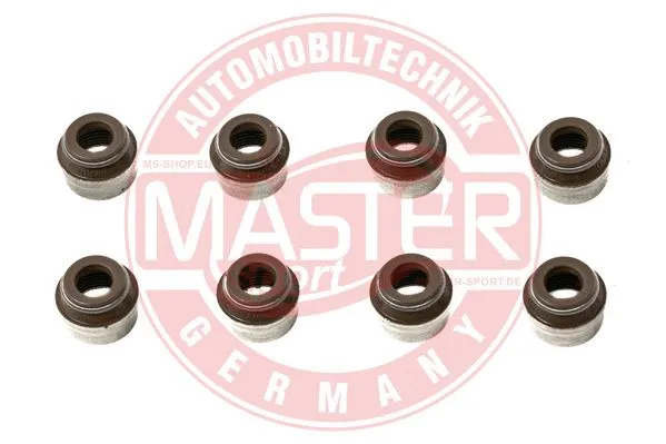 Shaft Seal, camshaft (8200234651-SET/8/-MS)