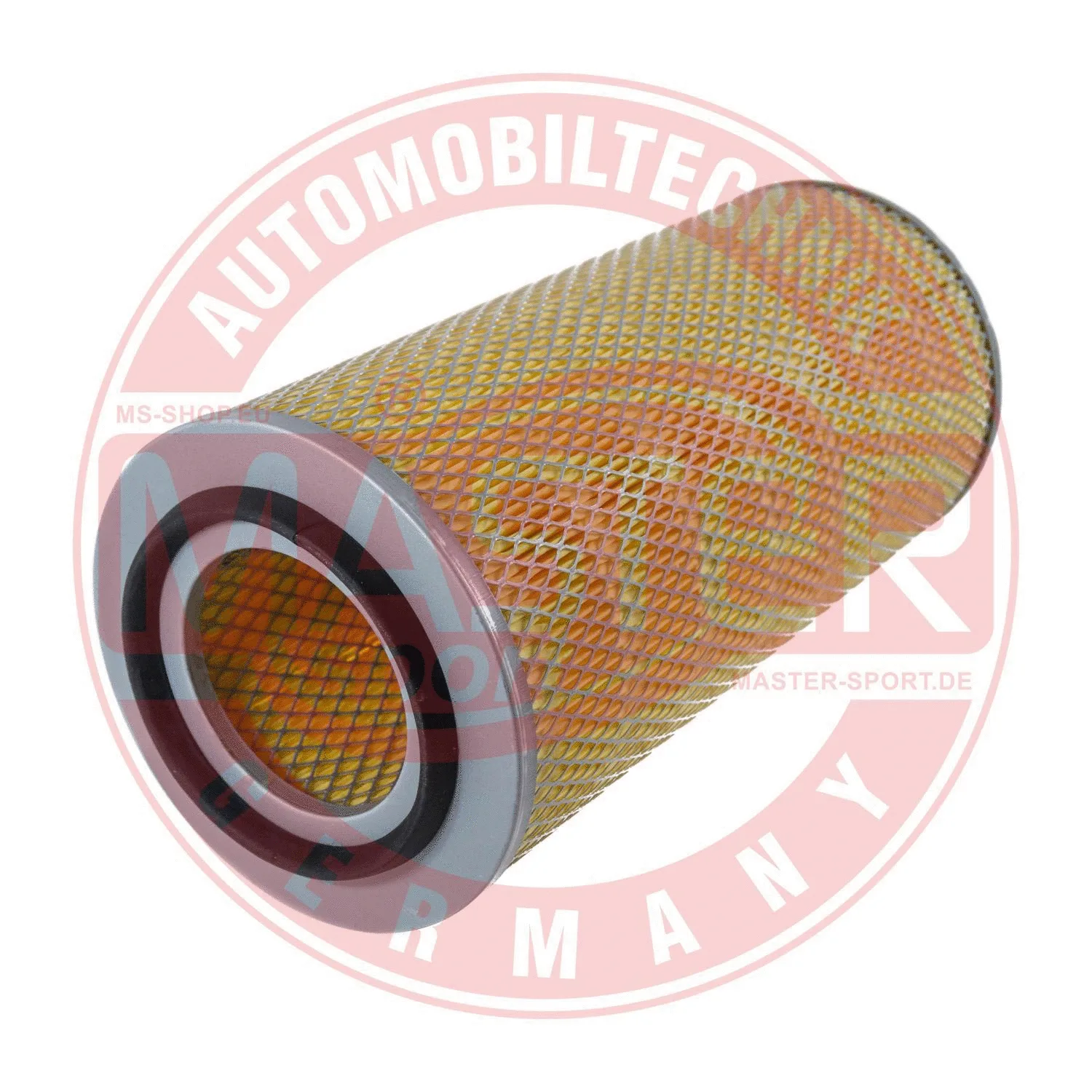 Air Filter (17225/3-LF-PCS-MS)