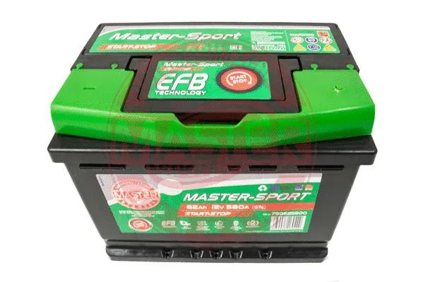 Starter Battery (790625800)