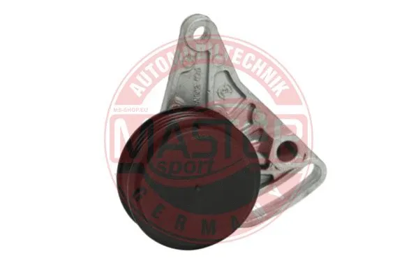 Tensioner Lever, V-ribbed belt