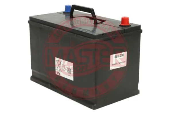 Starter Battery