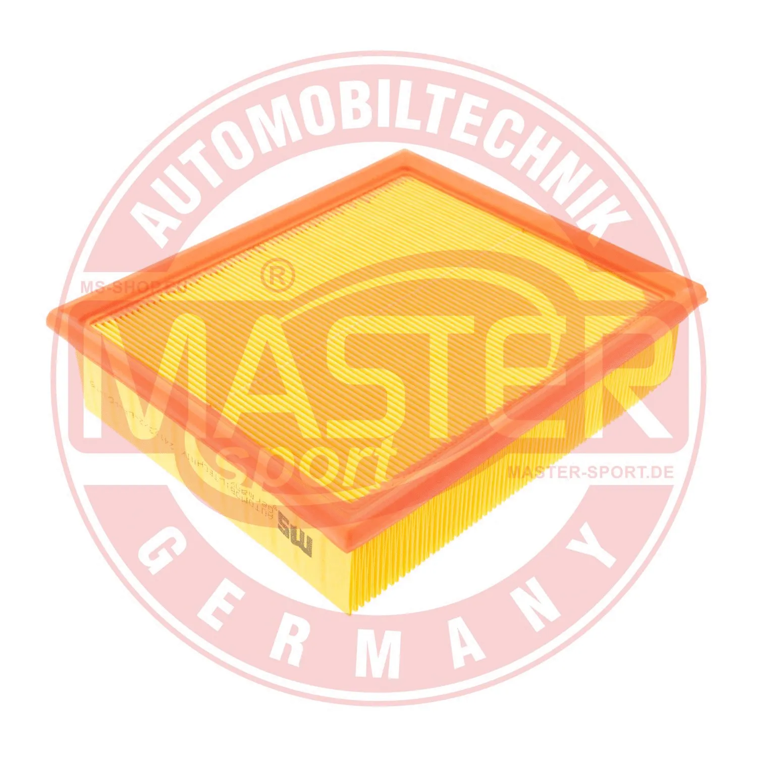 Air Filter (24123/2-LF-PCS-MS)
