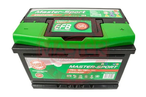 Starter Battery (790727200)