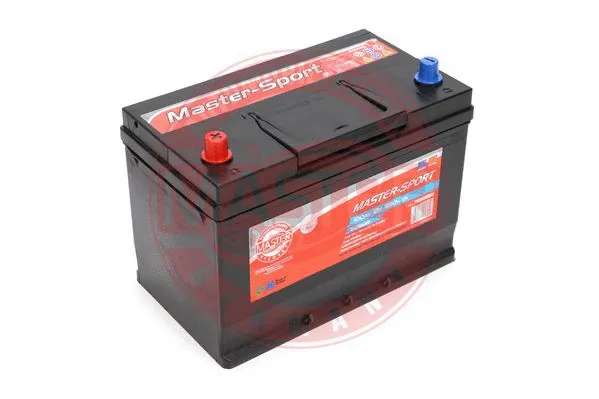 Starter Battery