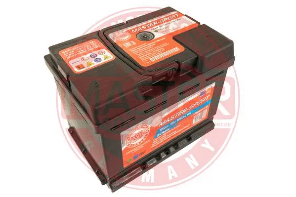 Starter Battery (780665902)