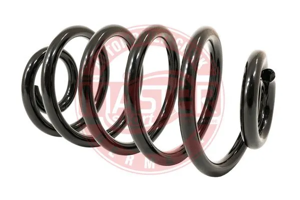 Suspension Spring (4263460-PCS-MS)