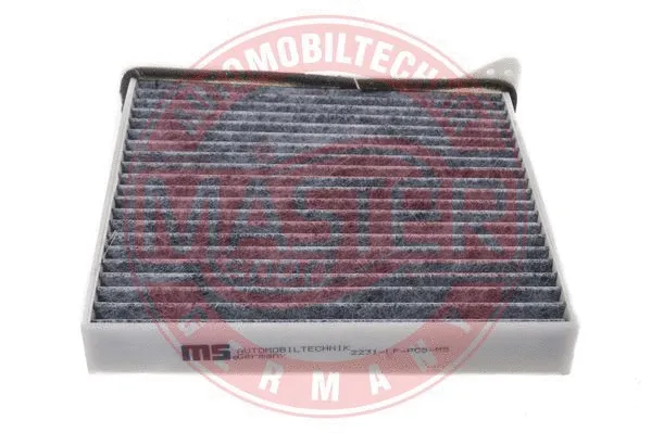 Filter, cabin air (2231-IF-PCS-MS)
