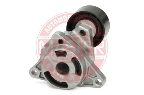 Tensioner Lever, V-ribbed belt (N36041-PCS-MS)