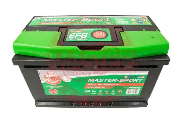 Starter Battery (790828000)