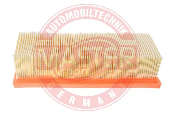 Air Filter (2561-LF-PCS-MS)