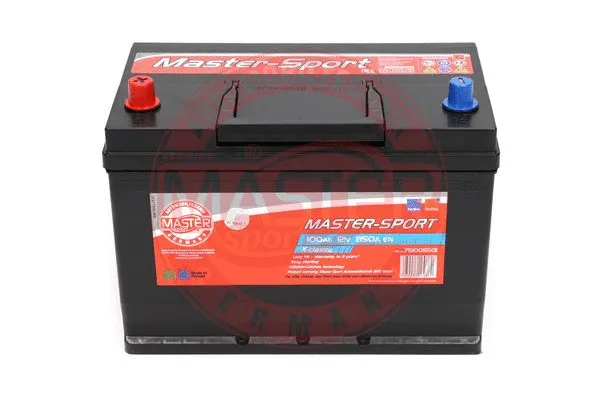 Starter Battery