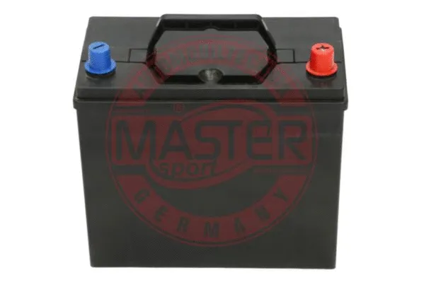 Starter Battery