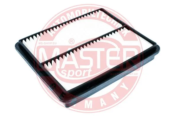Air Filter (2537/1-LF-PCS-MS)