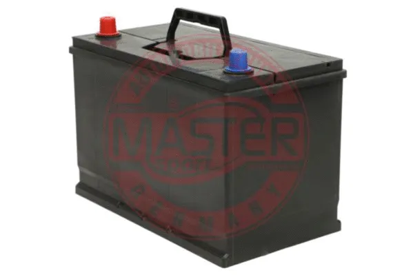 Starter Battery