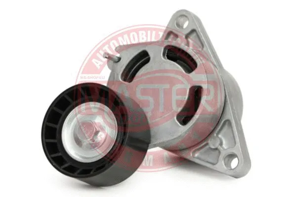 Tensioner Lever, V-ribbed belt