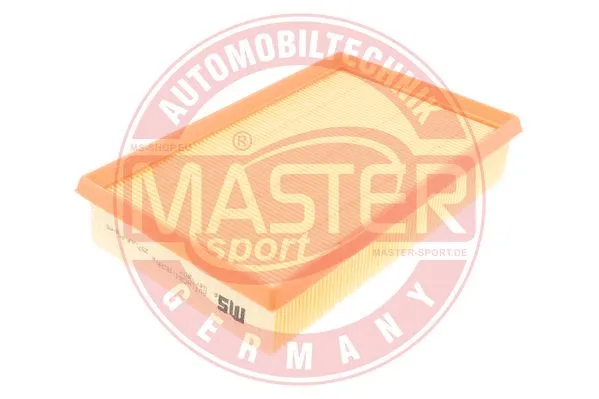 Air Filter (2579-LF-PCS-MS)