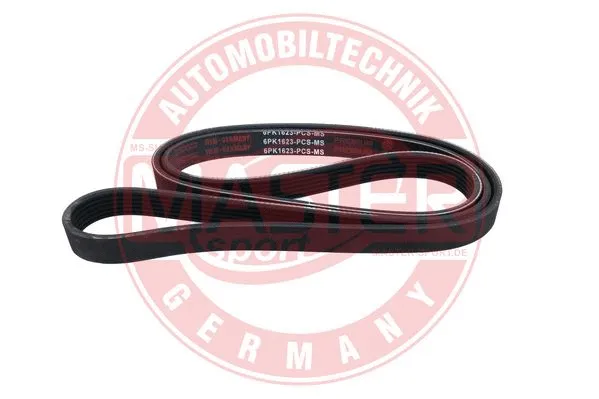 V-Ribbed Belt (6PK1623-PCS-MS)