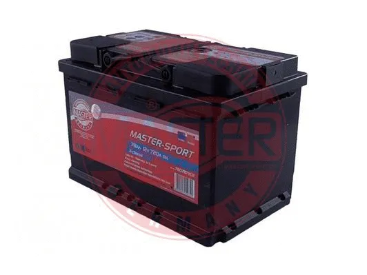 Starter Battery (780787202)