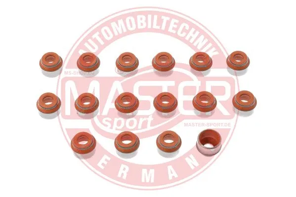 Seal Set, valve stem (825-050-FPM-SET/16/-MS)