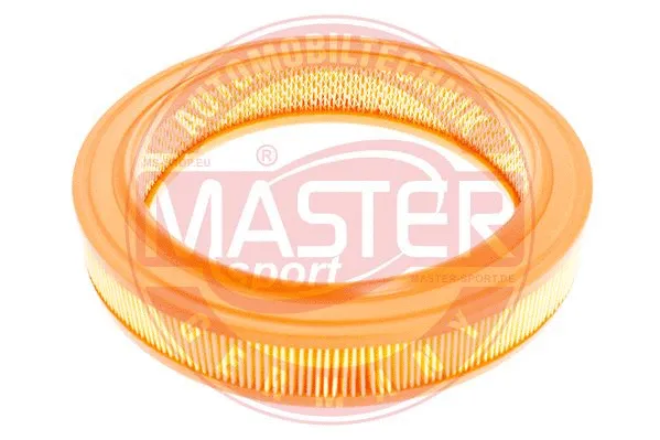 Air Filter (2534-LF-PCS-MS)