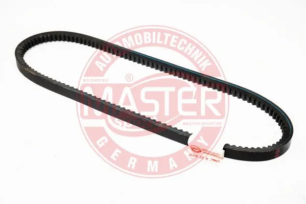 V-Belt (AVX-13X790-PCS-MS)