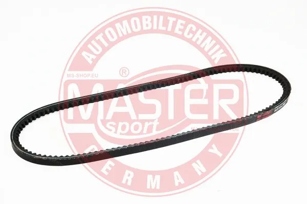 V-Belt (AVX-10X790-PCS-MS)
