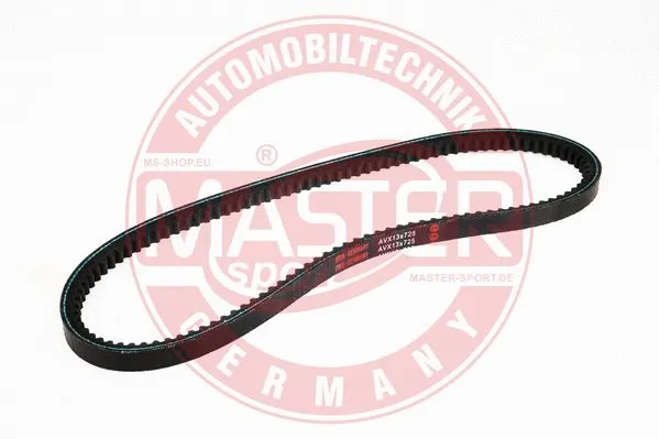 V-Belt (AVX-13X725-PCS-MS)