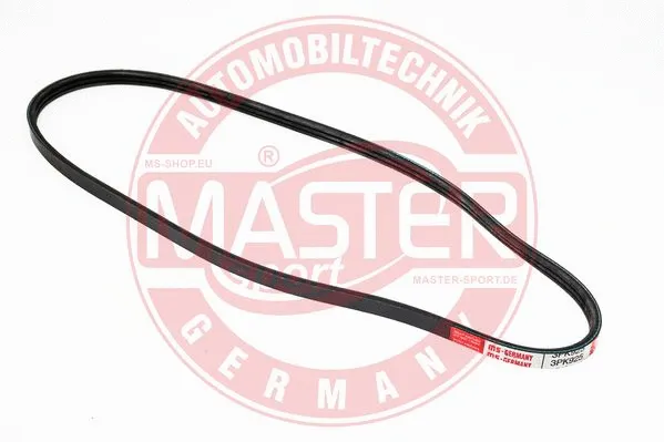V-Ribbed Belt (3PK925-PCS-MS)
