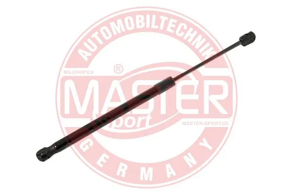 Gas Spring, boot/cargo area (6308023-PCS-MS)