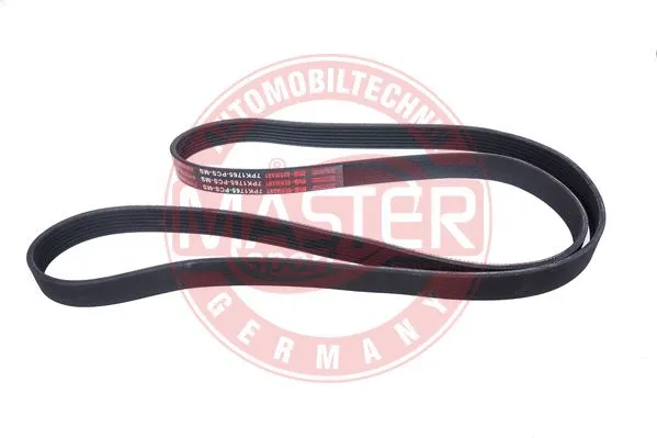 V-Ribbed Belt (7PK1765-PCS-MS)