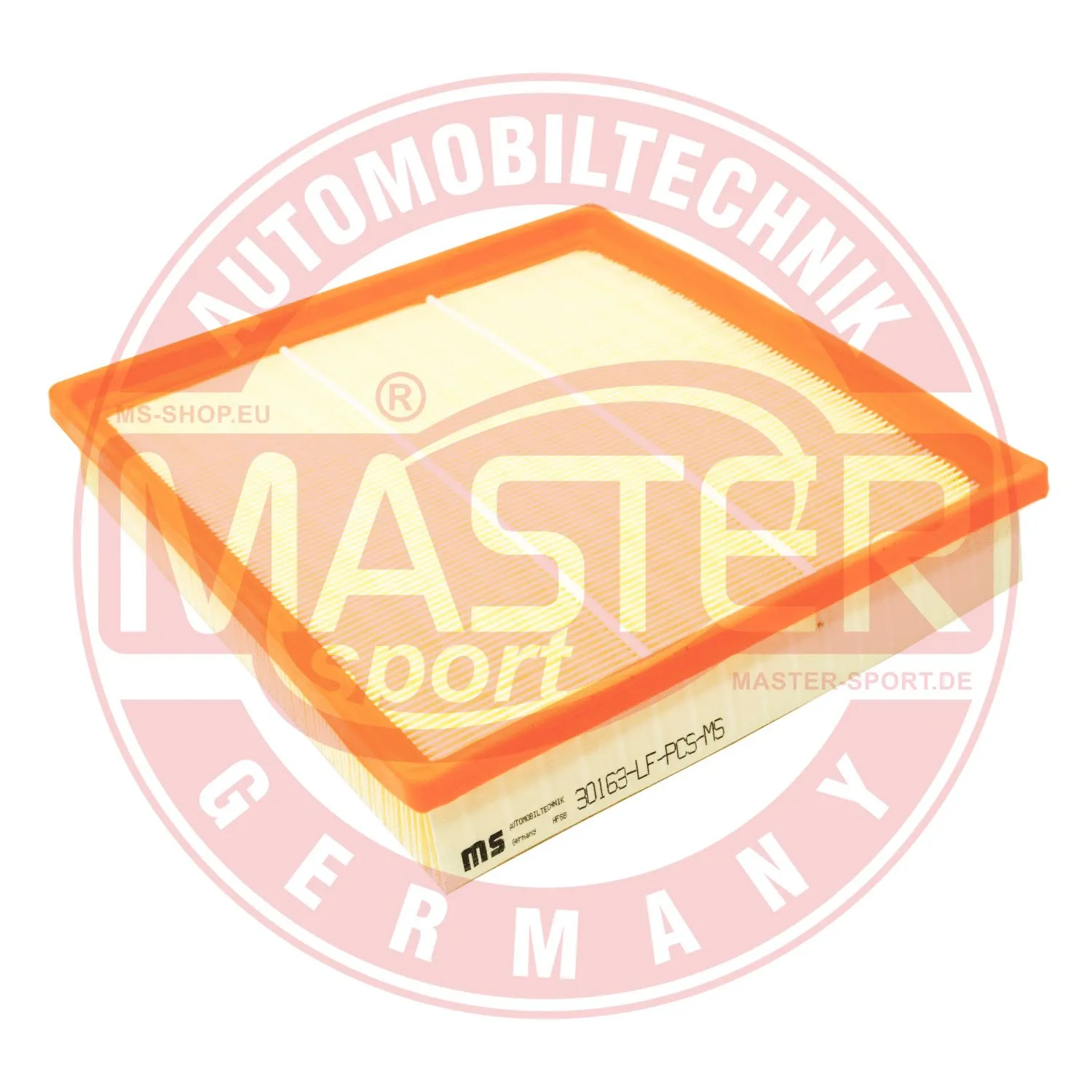 Air Filter (30163-LF-PCS-MS)