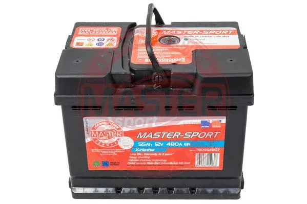 Starter Battery (750554802)