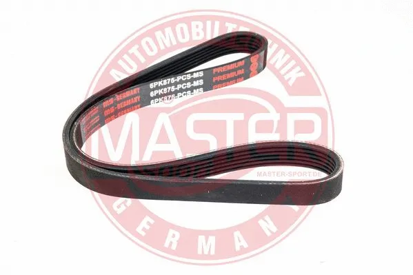 V-Ribbed Belt (6PK875-PCS-MS)