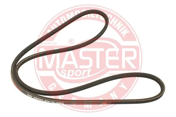 V-Ribbed Belt (2PJ800-PCS-MS)