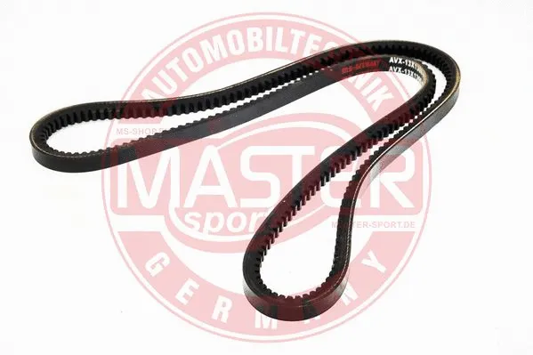 V-Belt (AVX-13X1300-PCS-MS)