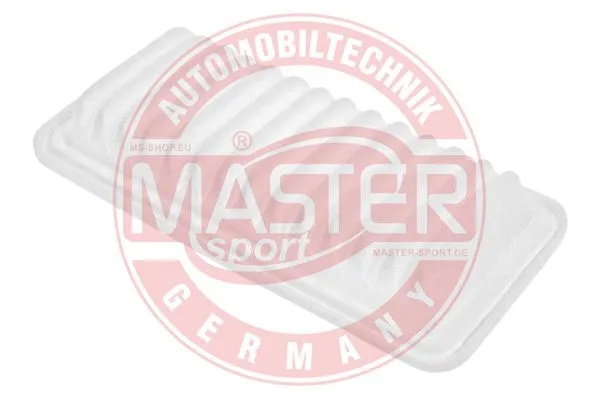 Air Filter (2513-LF-PCS-MS)