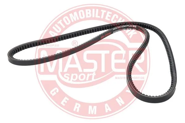 V-Belt (AVX-10X1250-PCS-MS)
