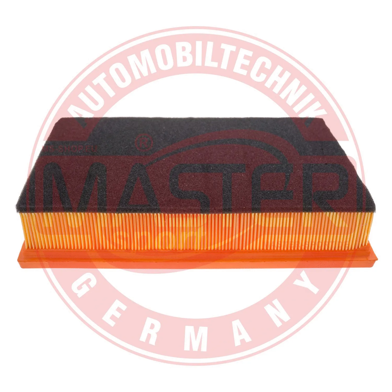 Air Filter (30189/1-LF-PCS-MS)