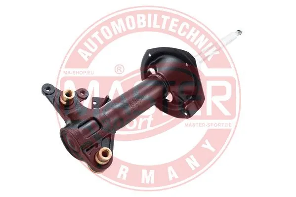 Shock Absorber (313605-PCS-MS)