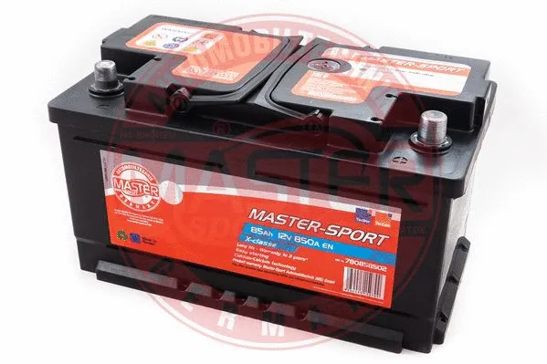 Starter Battery (780858502)