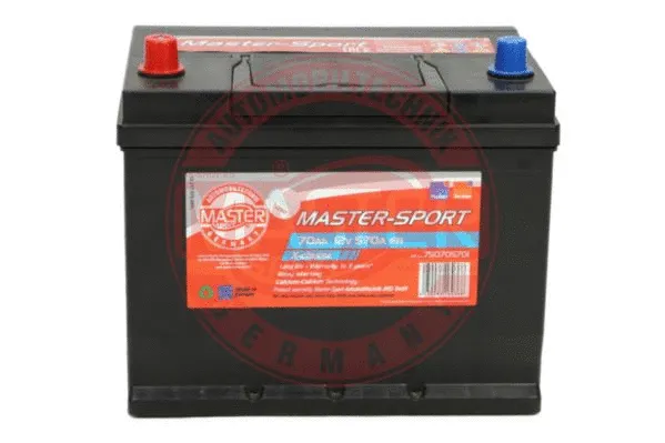 Starter Battery (750705701)