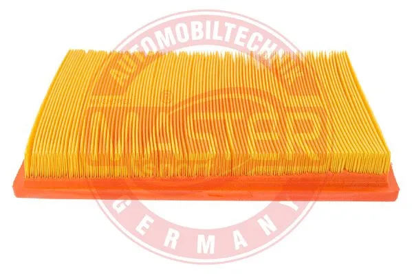 Air Filter (2975-LF-PCS-MS)