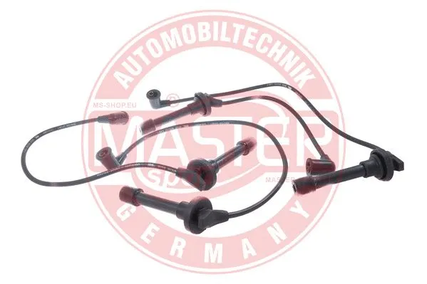 Ignition Cable Kit (1606-ZW-LPG-SET-MS)