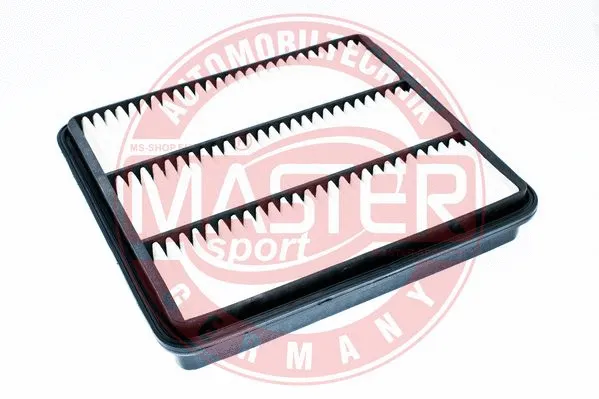 Air Filter (2743-LF-PCS-MS)