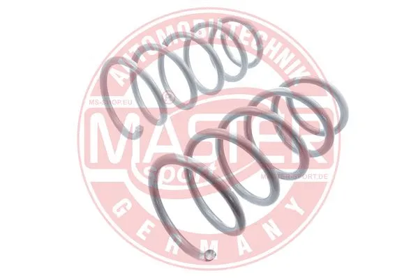 Suspension Spring (4017000-SET/2/-MS)