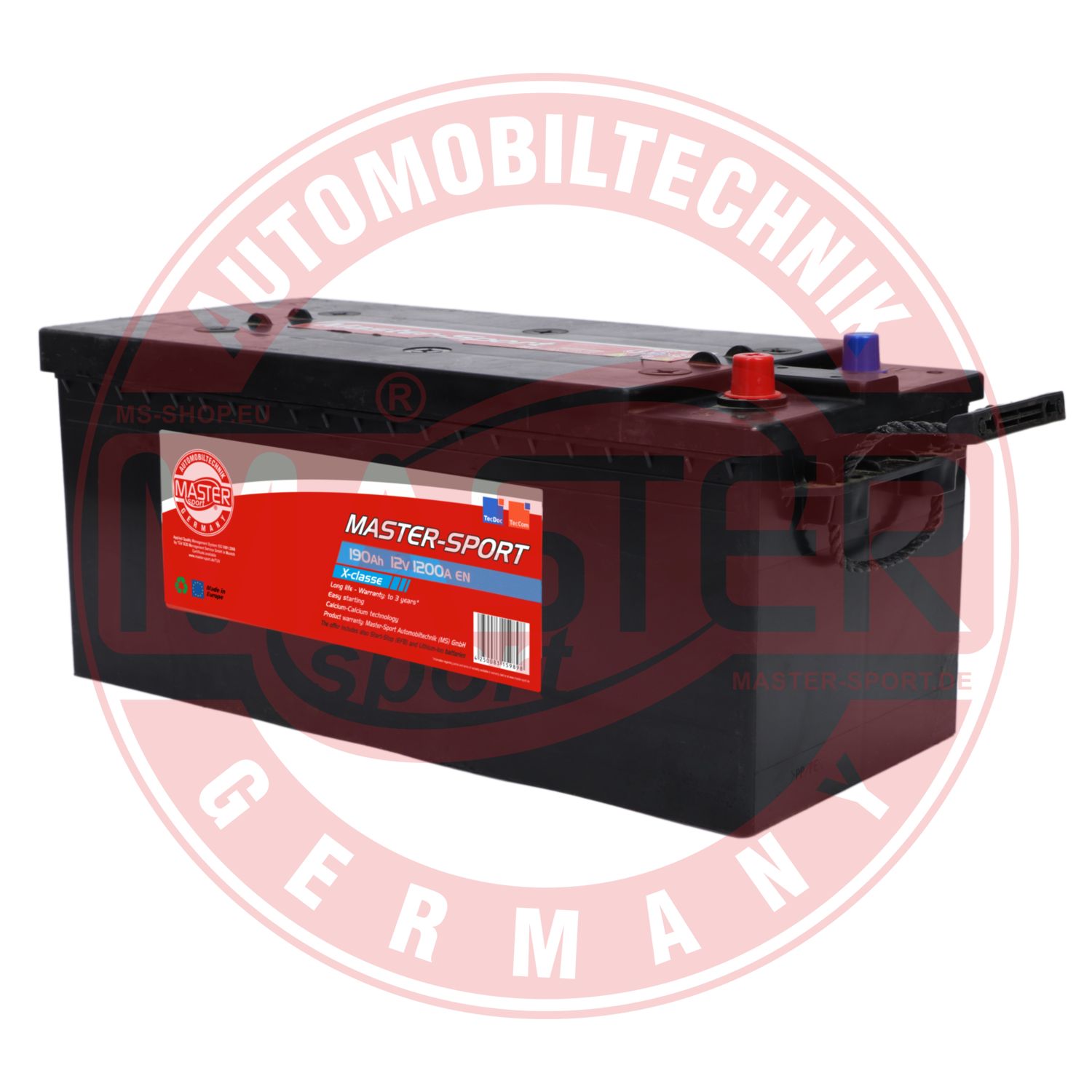 Starter Battery (761901200)