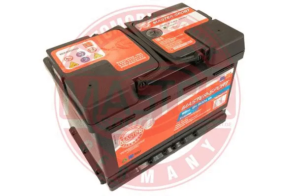Starter Battery (780888002)