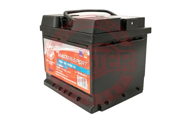 Starter Battery