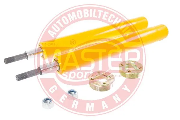 Shock Absorber (2170-VE-SET/2/-MS)